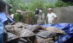 A large number of dead endangered sea turtles were found in a house in Phuoc Dong Commune of the south-central city of Nha Trang on December 20, 2014. Tuoi Tre